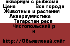 аквариум с рыбками › Цена ­ 1 000 - Все города Животные и растения » Аквариумистика   . Татарстан респ.,Чистопольский р-н